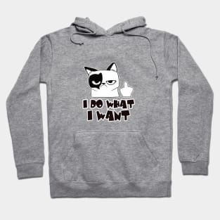 Cat I Do What I Want Hoodie